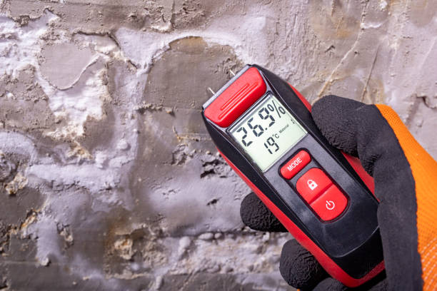 Reliable Anna, TX Mold Removal Solutions