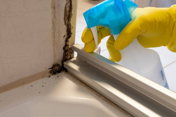 Best Mold Removal Near Me  in Anna, TX