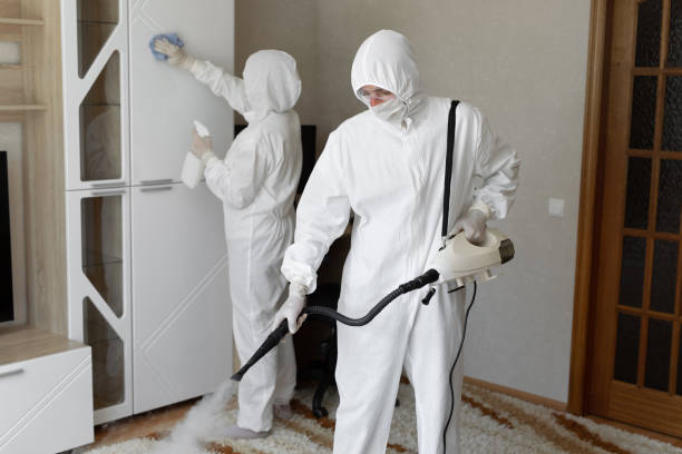 Best Residential Mold Removal  in Anna, TX