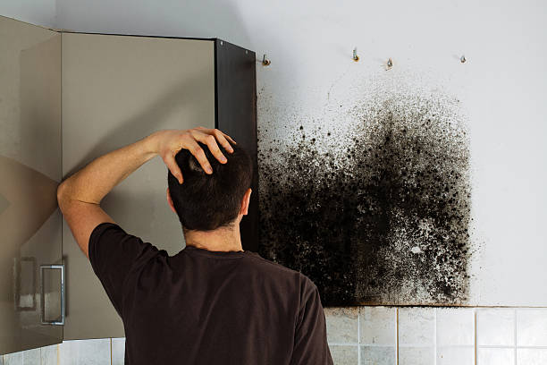 Best Emergency Mold Removal  in Anna, TX